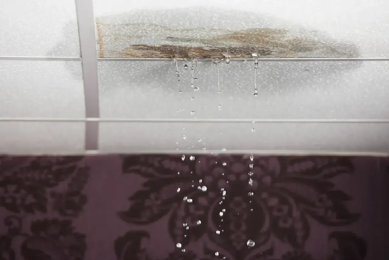 Leak or Condensation? How to Tell What's Actually Dripping From Your Ceiling